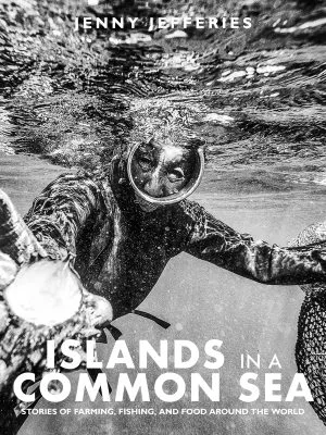 Islands In A Common Sea